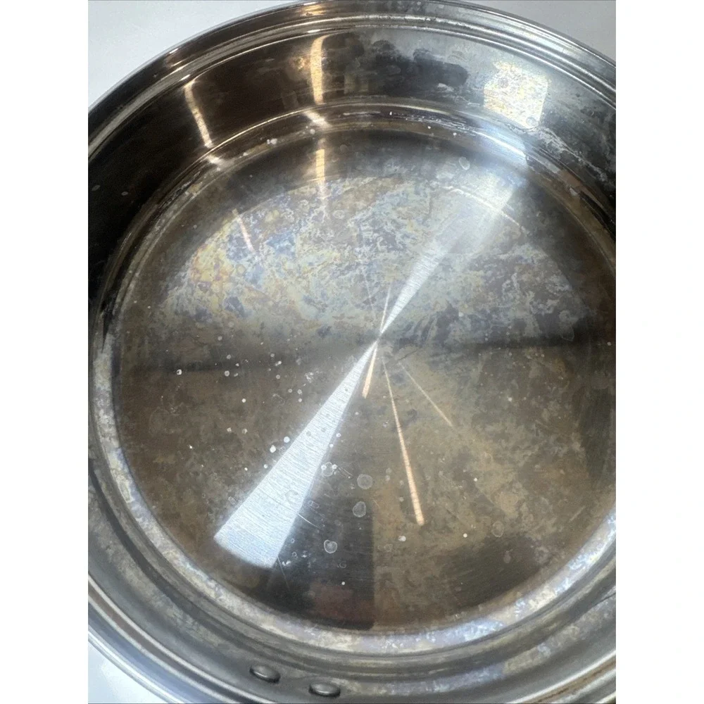 Professional Quality Stainless Steel Sautee Fry Pan 10in  Costco Disc glass lid